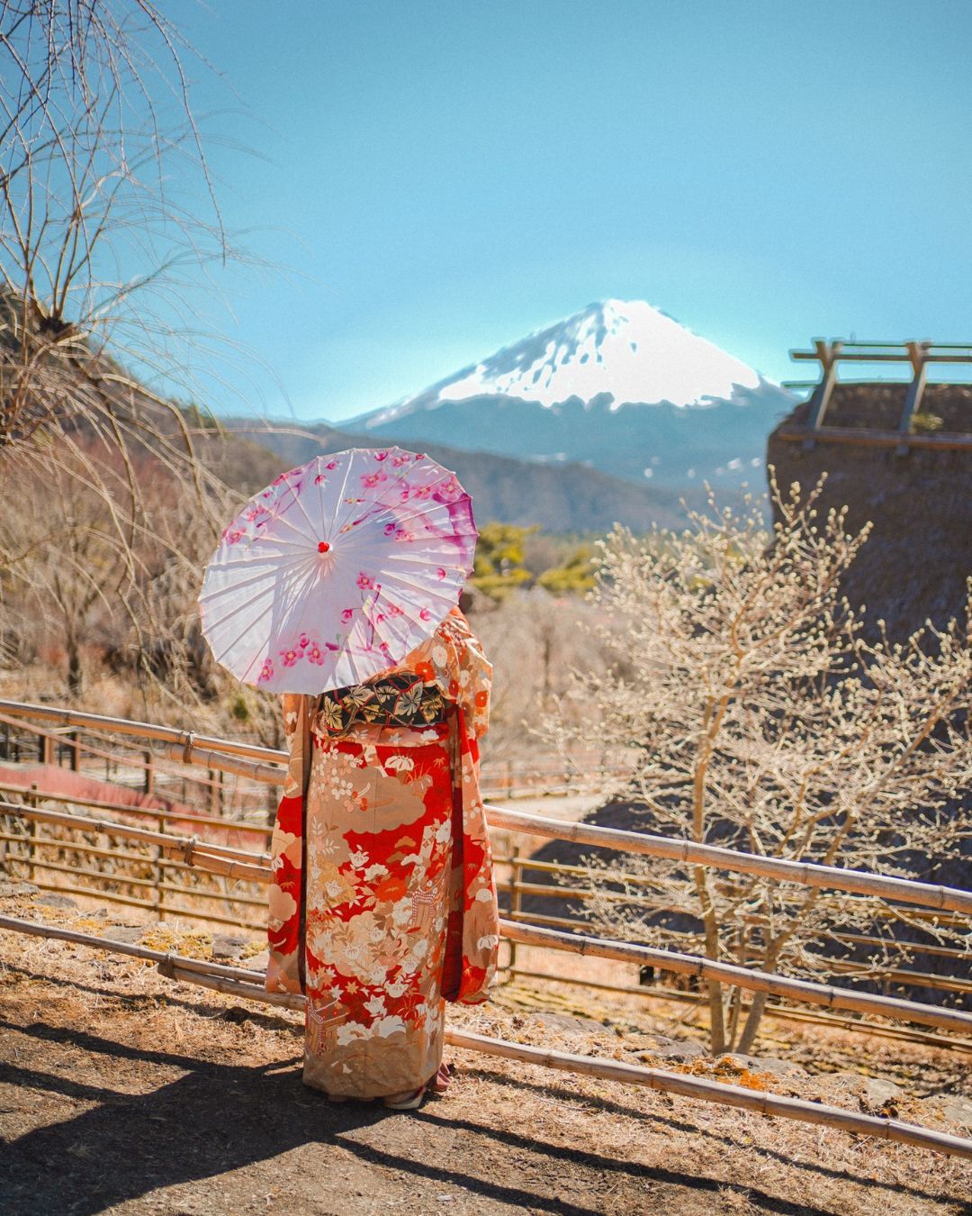 Tour Ke Jepang 2023 Promo Murah Banget Cuma Rp 13juta-an