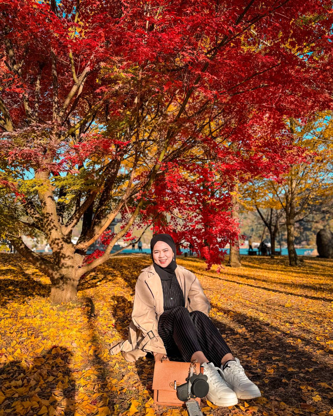 Jepang Autumn_1