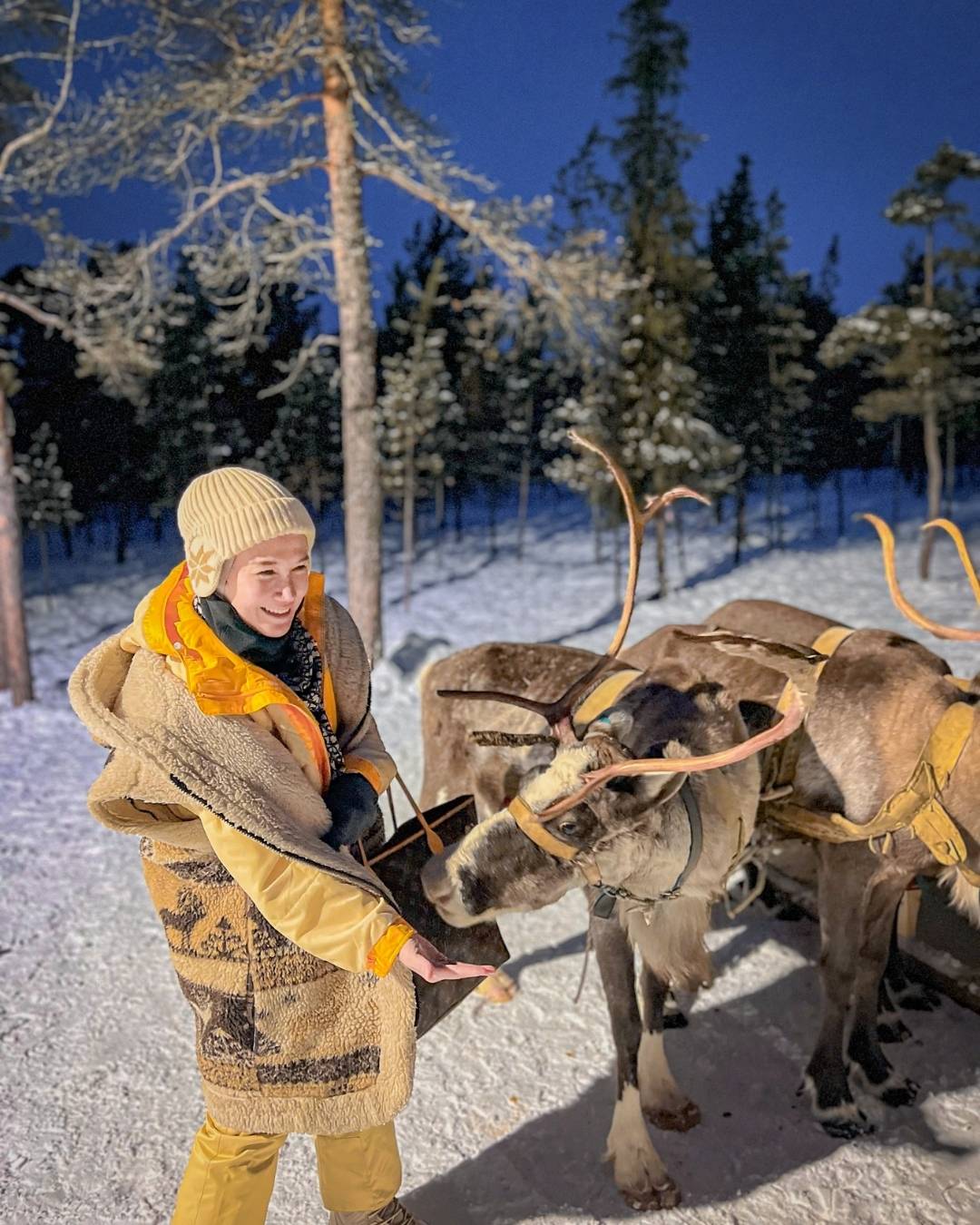 russia reindeer