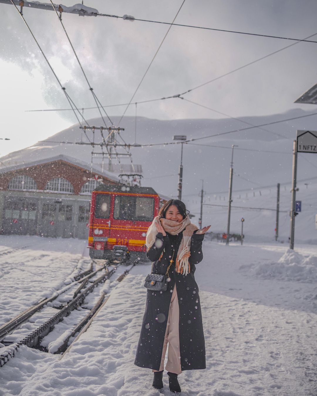 train Mt Rigi