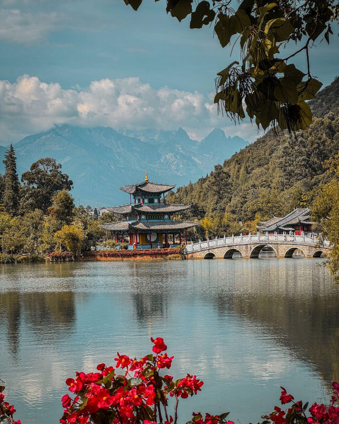 Black Pool Dragon - Lijiang