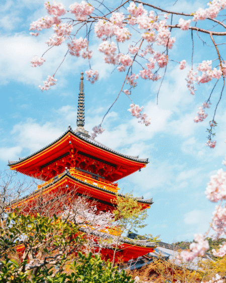 13 - 19 Apr 2026 Japan Like a Local Tokyo Osaka Kyoto Sakura by Malaysia Airlines