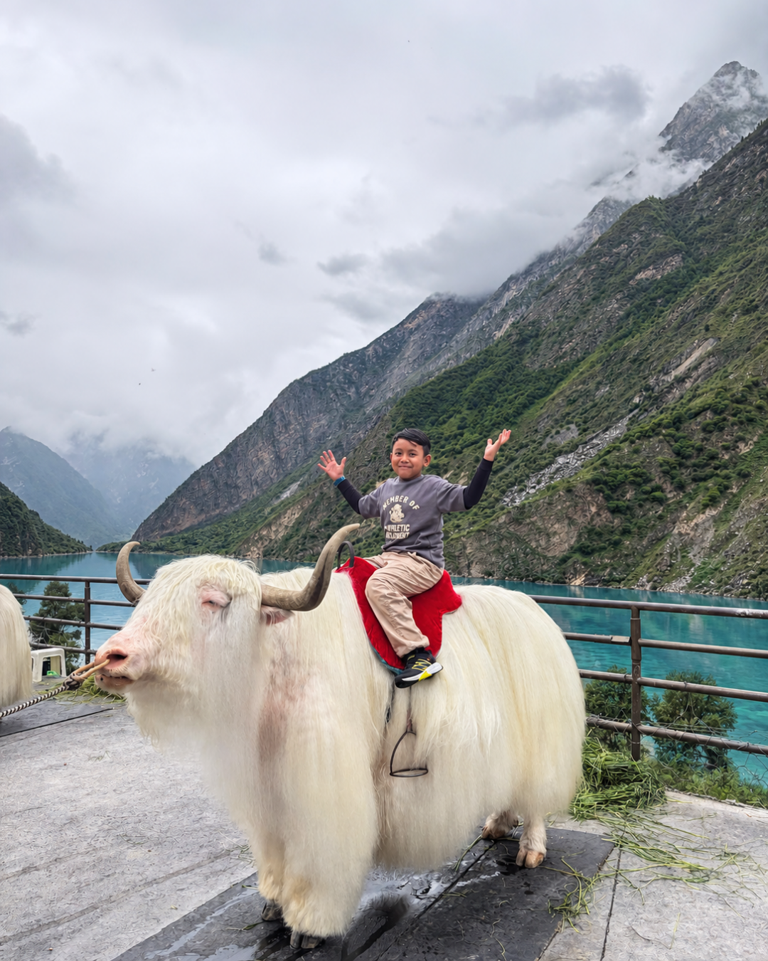 china swiss (9)
